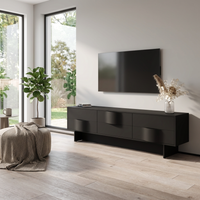 Wave 01 TV Stand