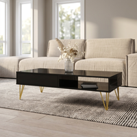 Repo Coffee Table
