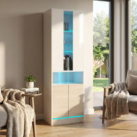 Disparo 01 Bookcase